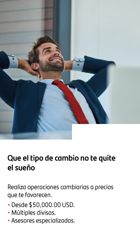 Sin cuota anual de por vida