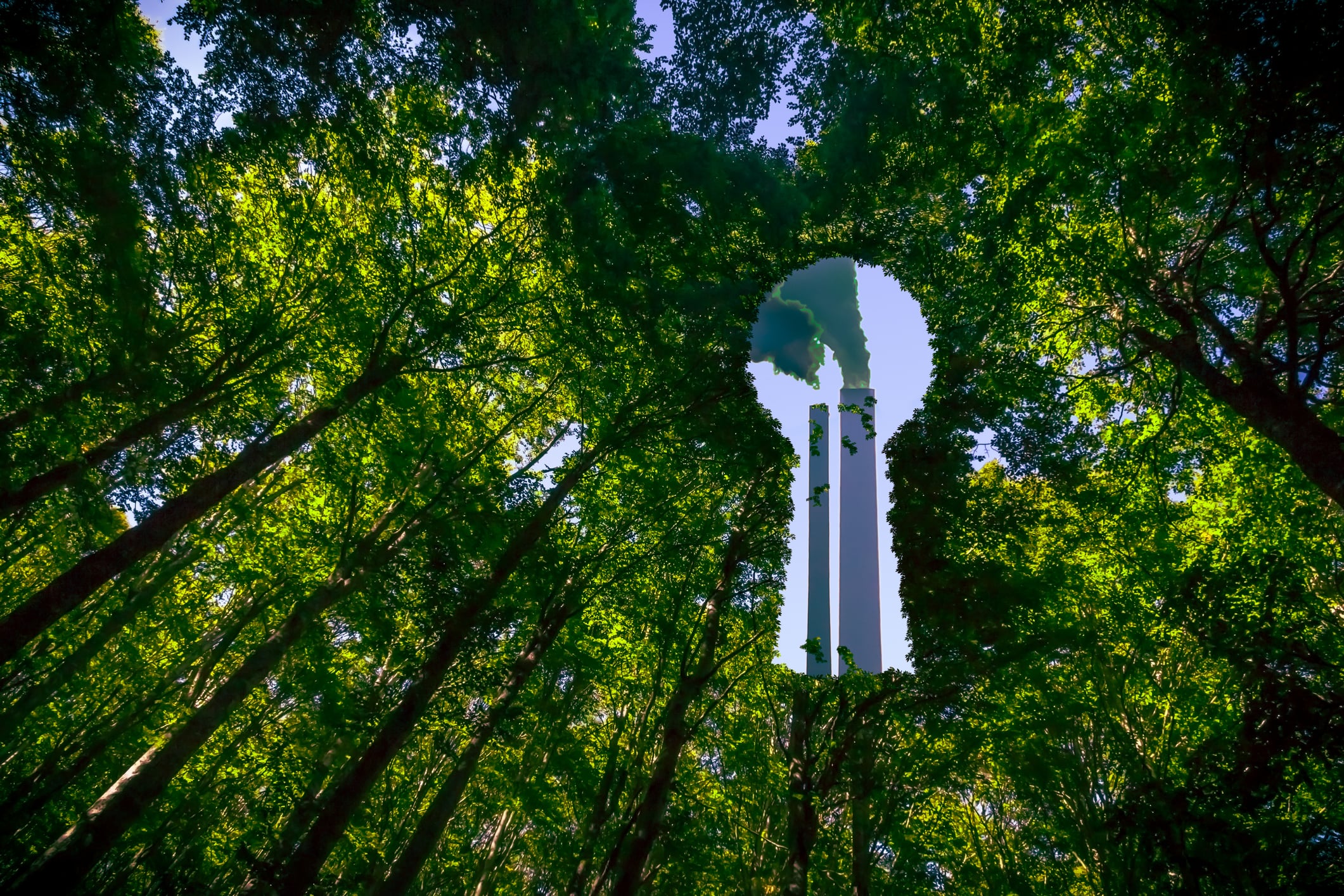¿Qué es el greenwashing?