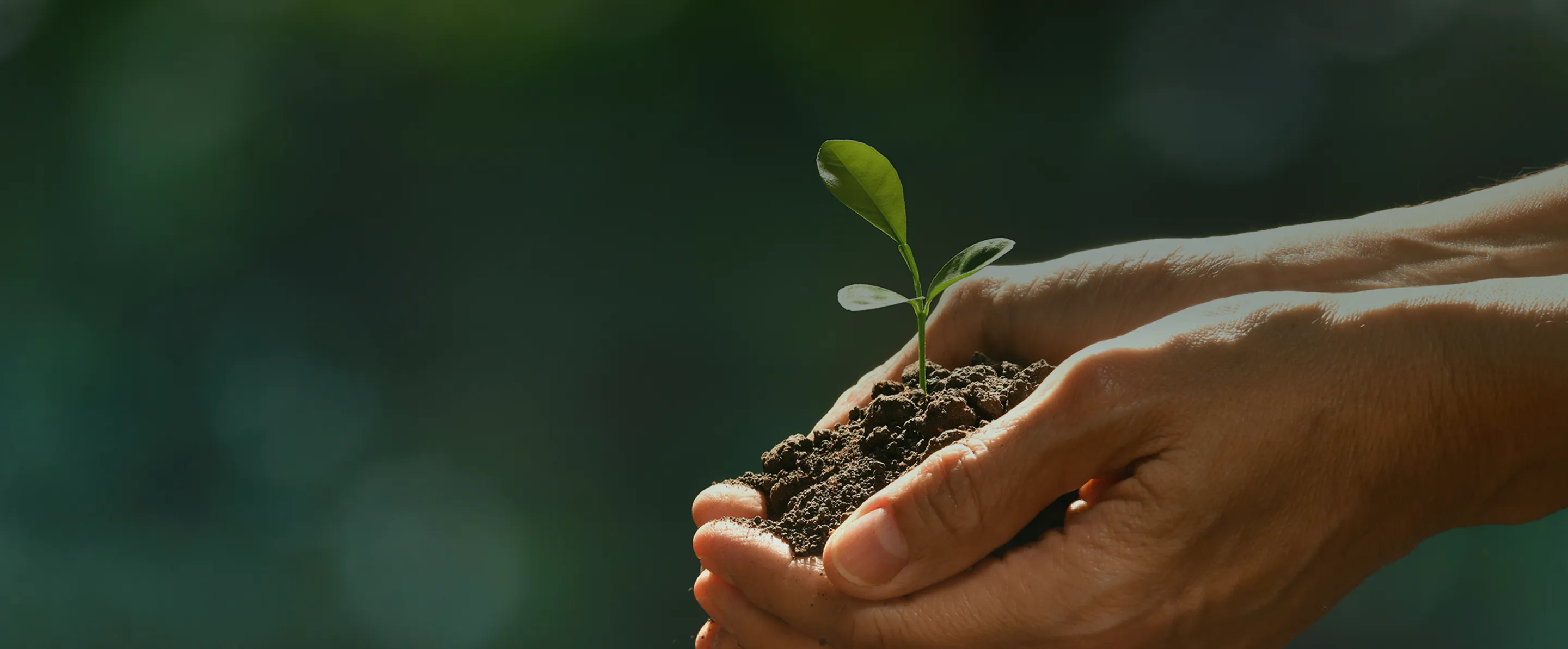 Apoyo en la transición a una económia baja en carbono