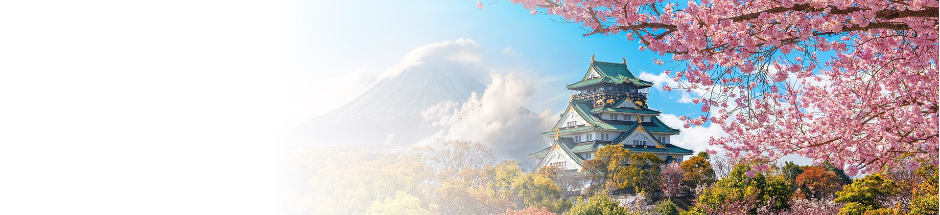 banner viaje a japon