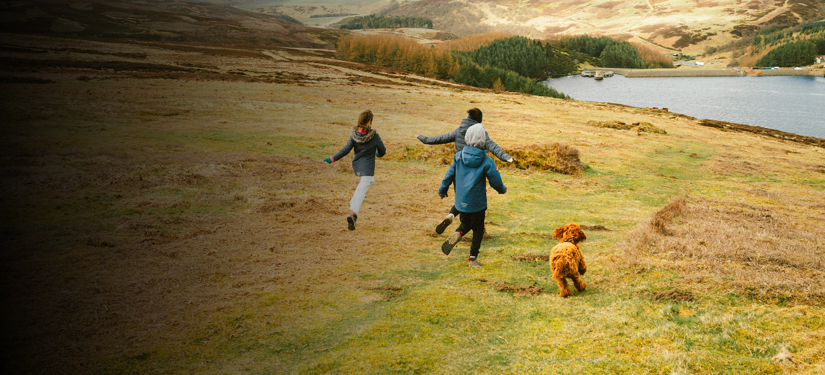 banner objetivo protegido