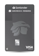 Aeromexico TDC Gray